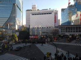 article 29-photo 8-30 12 2018_shibuya crossroads